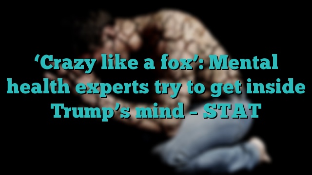 ‘Crazy like a fox’: Mental health experts try to get inside Trump’s mind – STAT